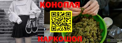 индика Пыть-Ях