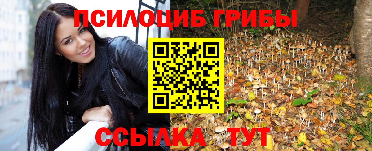Псилоцибиновые грибы MAGIC MUSHROOMS  Галлюциногенные грибы прущие грибы  Полевской  Вход с VPN 