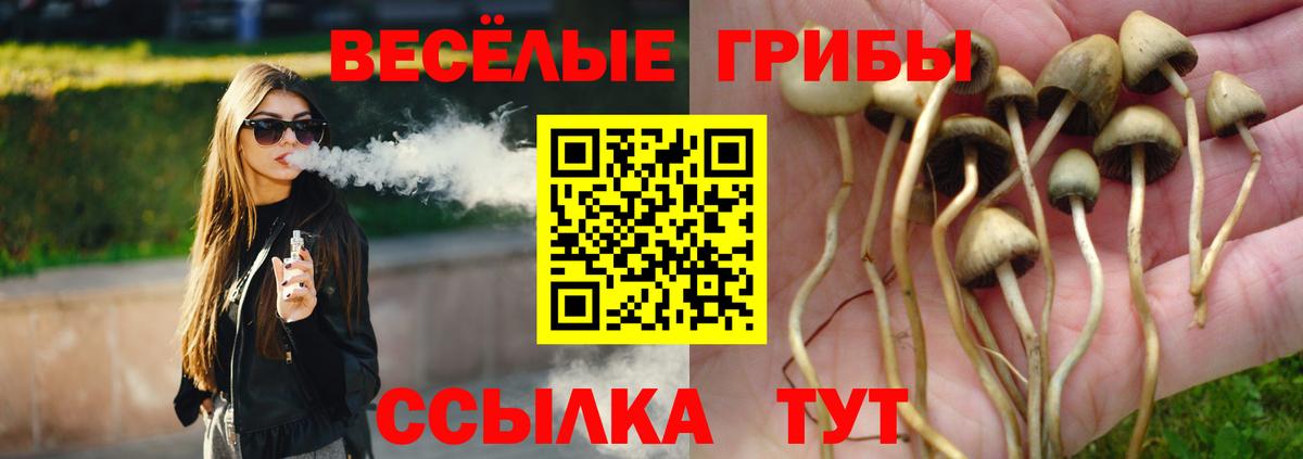 Псилоцибиновые грибы ЛСД Полевской