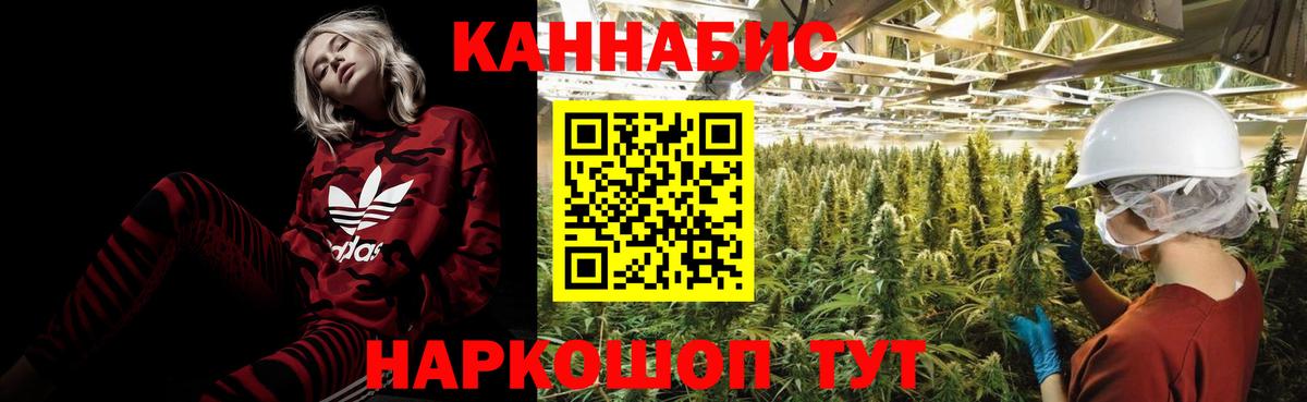 Шишки марихуана планчик  Вход с VPN  Полевской  МАРИХУАНА индика  Каннабис AK-47 